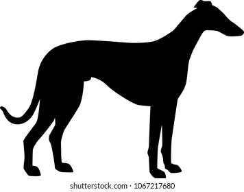 Whippet silhouette real in black