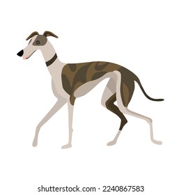 Ilustración vectorial estilizada a mano. Diseño de color plano.