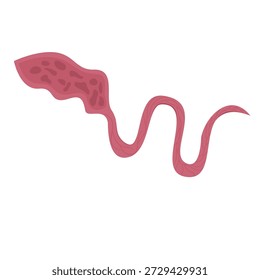 Ilustración vectorial por bacterias parásitas del gusano látigo