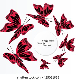 Whirling butterflies