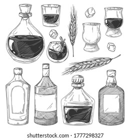 Whiskey bottles sketch set. Isolated scotch whiskey drink glasses, bottles with blank labels, ice cubes, barley ears icon collection. Vector vintage alcohol beverage illustration