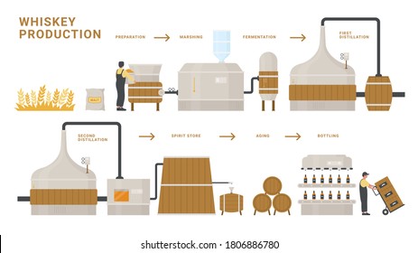 Whiskey production infographic process vector illustration. Cartoon flat info education poster of fermentation, distillation, aging and bottling alcohol whiskey drink bottle product isolated on white