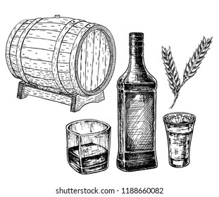 Whiskey set sketch. Set of hand drawn whiskey bottle, glass, barrel and malt, sketch vector illustration isolated on white background. 