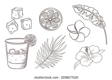 Página de cócteles Whiskey y Soda, Flores Tropicales y Colores de hojas. Plantas y flores exóticas. Banana, hojas de palma, rodajas de limón, cubos de hielo, hibiscos y flores de plumería. Vector Premium