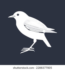 whit bird vector nice look,pj