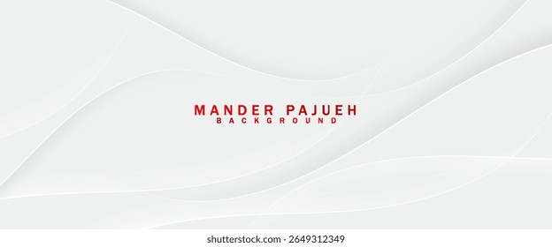 white abstract background with elegant curved shadow style.