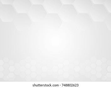 White abstract background vector. White texture