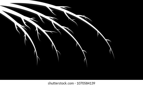 White abstract beautiful branches, stems, lines with shadows with patterns and curls on a black background and place for copy space, vector illustration
