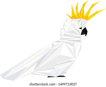 white abstract exotic cockatoo bird