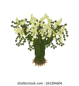 White acacia pixel art vector isolated tree