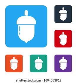 White Acorn icon isolated on white background. Set icons in color square buttons. Vector Illustration