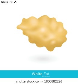 white adipose tissue. fat tissue has role of storing lipid droplets, fatty acids. 