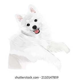 Blanco adorable cachorro lindo perro sonriendo arte vectorial