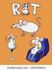 White albino rat or mouse. Set of four Vector Illustrations isolated on flat orange background for kids book or for chinese new year of the rat. Hand drawn outline pack for children