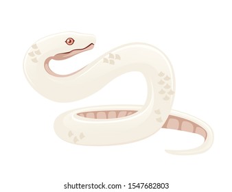 White albino snake cartoon animal design flat vector illustration isolated on white background