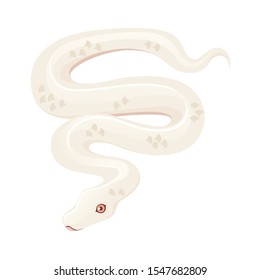 White albino snake cartoon animal design flat vector illustration isolated on white background