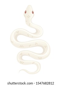 White albino snake cartoon animal design flat vector illustration isolated on white background