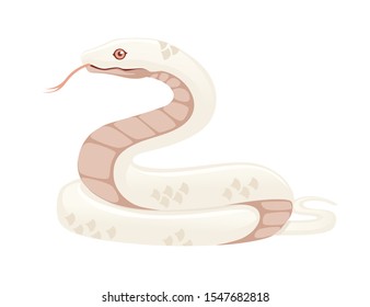 White albino snake cartoon animal design flat vector illustration isolated on white background