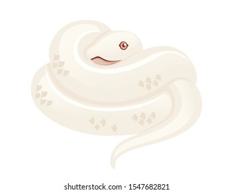 White albino snake cartoon animal design flat vector illustration isolated on white background
