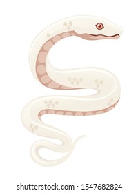 White albino snake cartoon animal design flat vector illustration isolated on white background