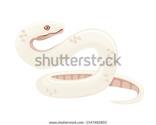White Albino Snake Cartoon Animal Design Stock Vector Royalty Free 1547682803