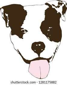 White American Pit Bull Dog Terrier with Brown spots