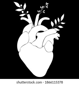 White anatomy heart with leaves 