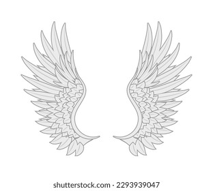 white angel wings many feathers beauty.vector image stock