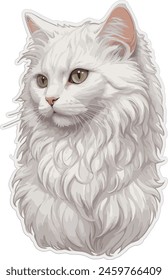 White Angora Cat, Cute and Fluffy Pets