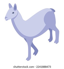 White animal icon isometric vector. Cute lama. Cool baby
