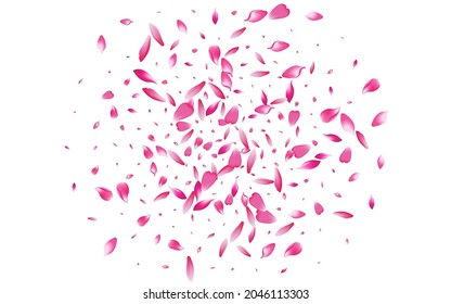 Fondo blanco del vector Petal de Apple blanco. Marco del Petal del muelle del Pastel. Textura de Sakura Petal Japón. Ilustración Del Pétalo De Flor Caída.