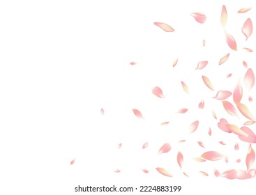 White Apple Petal Vector White Background. Purple Invitation Rose Petal Pattern. Cherry Petal Dream Banner. Springtime Sakura Petal Frame.