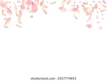 White Apple Petal Vector White Background. Color Floor Flower Petal Illustration. Rose Petal Fall Design. Romantic Sakura Petal Poster.