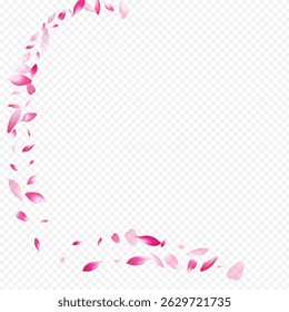 White Apple Vector Transparent Background. Sakura Fresh Congratulation. Flower Feminine Banner. Rosa Spa Backdrop. Light Tree Air Card.