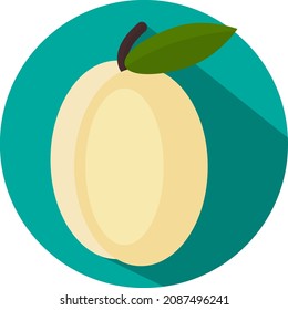 White apricot, illustration, vector, on a white background.