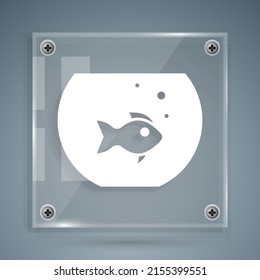 White Aquarium with fish icon isolated on grey background. Round glass aquarium. Aquarium for home and pets. Square glass panels. Vector