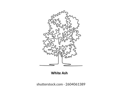 White Ash. Tree and flower concept. Single line draw design. Vector graphic illustration