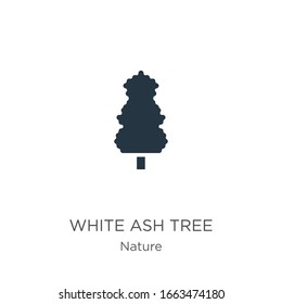 White ash tree icon vector. Trendy flat white ash tree icon from nature collection isolated on white background. Vector illustration can be used for web and mobile graphic design, logo, eps10