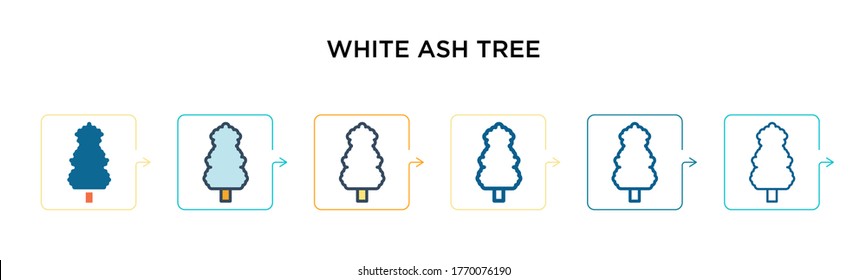 White ash tree vector icon in 6 different modern styles. Black, two colored white ash tree icons designed in filled, outline, line and stroke style. Vector illustration can be used for web, mobile,