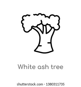 white ash tree vector line icon. Simple element illustration. white ash tree outline icon from nature concept. Can be used for web and mobile