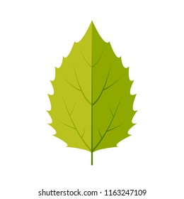 White aspen leaf icon vector design illustration.