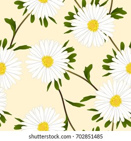 White Aster Flower on Ivory Beige Background. Vector Illustration.