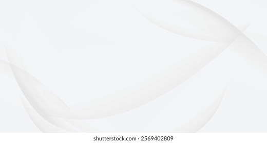 White background abstract with line gray. vector illustration