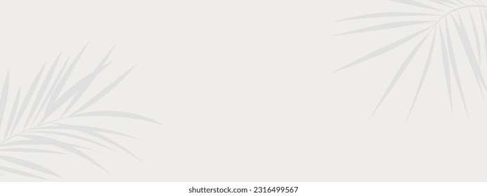 White background with abstract silhouette shadow of natural leaves tree branch falling on wall. Transparent blurry shadow of tropical leaves morning sun light.