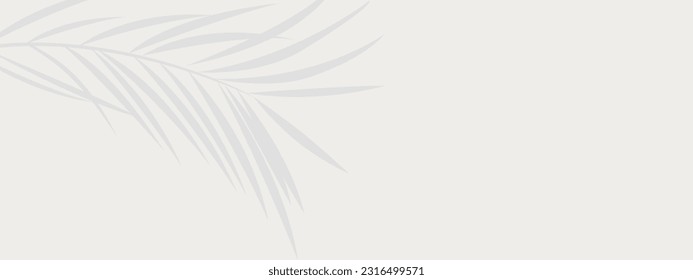 White background with abstract silhouette shadow of natural leaves tree branch falling on wall. Transparent blurry shadow of tropical leaves morning sun light.