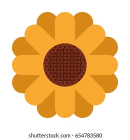 white background with abstract sunflower in closeup vector illustration