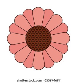 white background with abstract sunflower in closeup with contour vector illustration