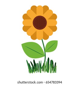 white background with abstract sunflower plant in closeup vector illustration