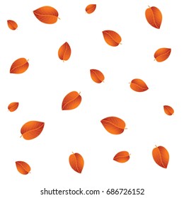 White background with autumn leaves. Autumn pattern. Vector illustration.