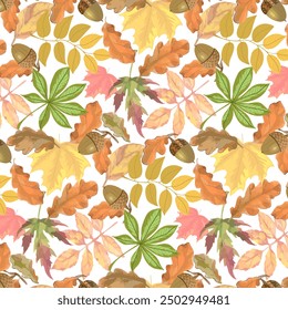 Fondo blanco con hojas de otoño. Patrón sin fisuras de Vector con hojas de otoño y bellotas sobre un fondo blanco.